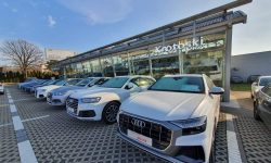 Audi Krotoski Wolica