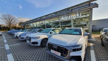 Audi Krotoski Wolica